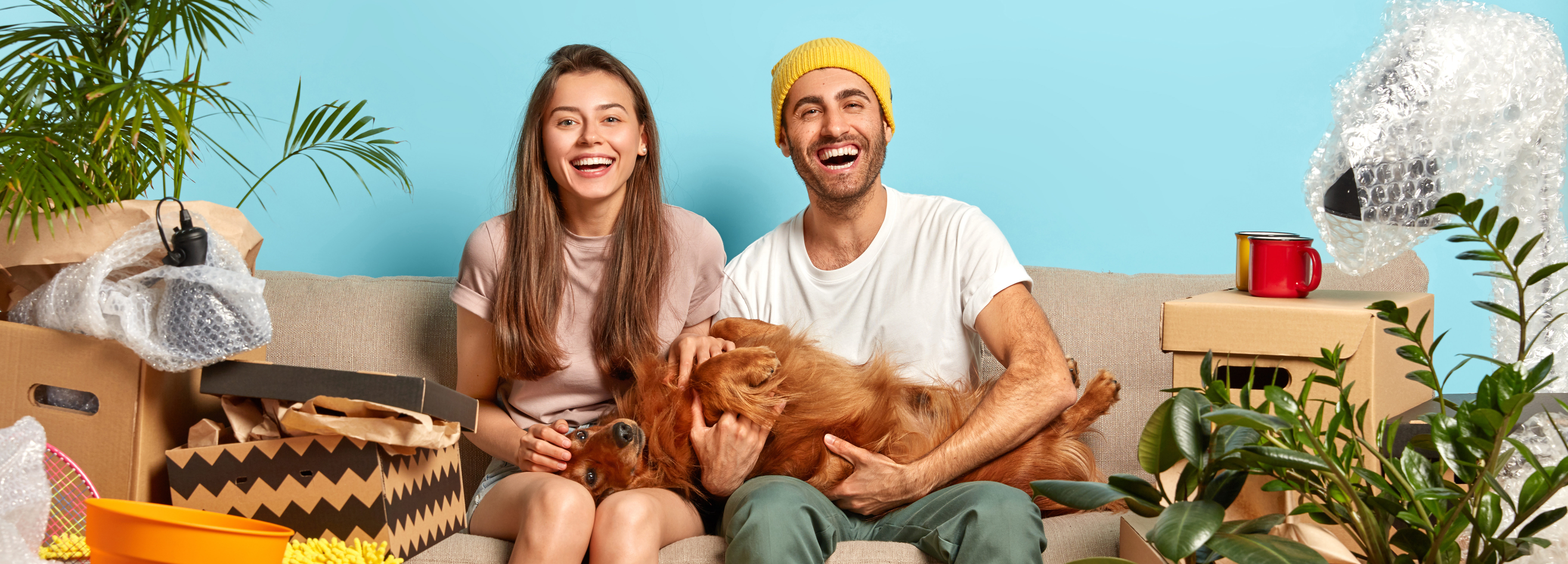 Positive delighted woman and man play with their favourite dog, pose on sofa, rejoice day of moving in new apartment, surrounded with different boxes, indoor plants. Family, relocation and fun concept