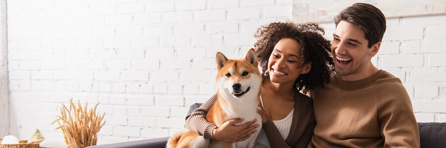 Attracting Millennial and Gen Z Talent with a Pet Insurance Employee Benefit