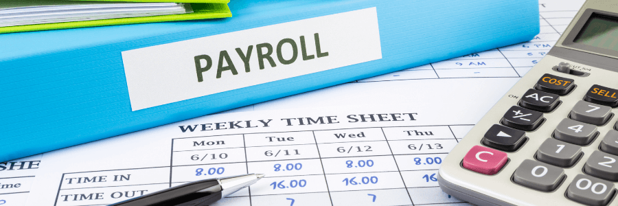 National Payroll Week 2024: All About PEO Payroll Services