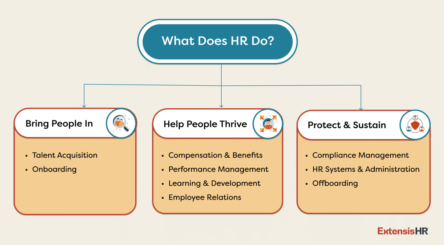 HR 101: What HR Does, Key Functions and Why It Matters